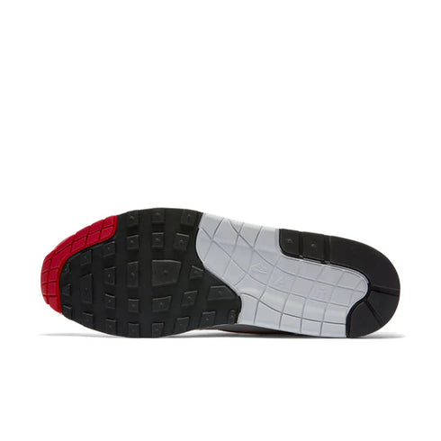 NIKE AIR MAX 1 ANNIVERSARY