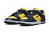 NIKE DUNK LOW DISRUPT 2 MICHIGAN