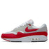 NIKE AIR MAX 1 ANNIVERSARY